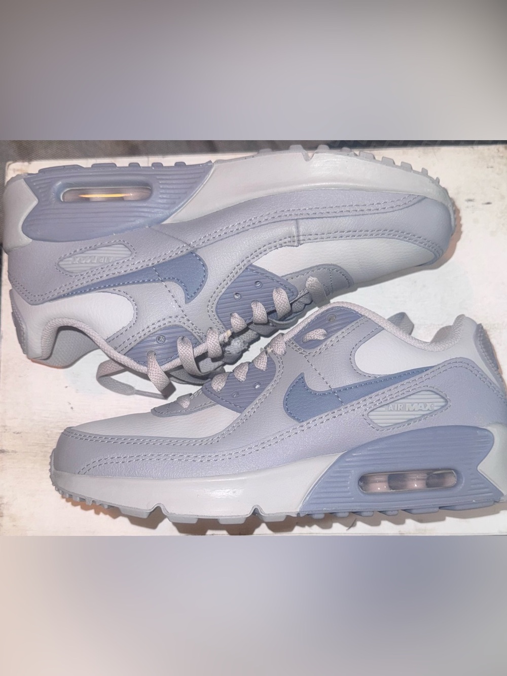 Nike Air Max Sneakers in Light Gray and Blue